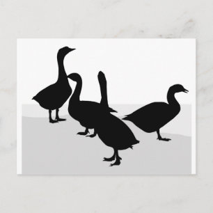 Postal Geese