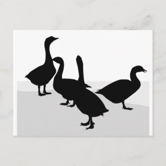 Postal Geese