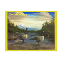 Geese canadiense en el lago Beaver. -Tarjeta Posta