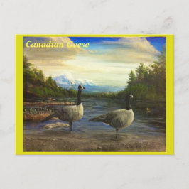 Postal Geese canadiense en el lago Beaver. -Tarjeta Posta