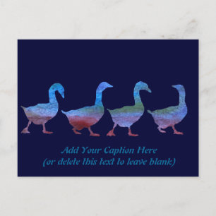 Postal Geese lavado de colores