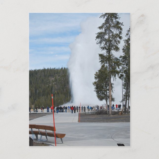 Postal Géiser Old Faithful en el Parque Yellowstone (Anverso)
