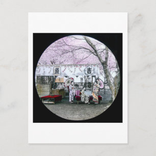 Postal Geisha japonesa vieja sentada bajo flores de cerez