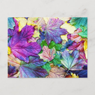Postal gekleurde blaadjes