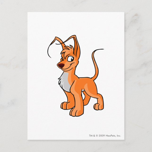 Postal Gelert Naranja (Anverso)