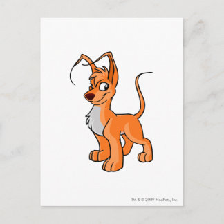Postal Gelert Naranja