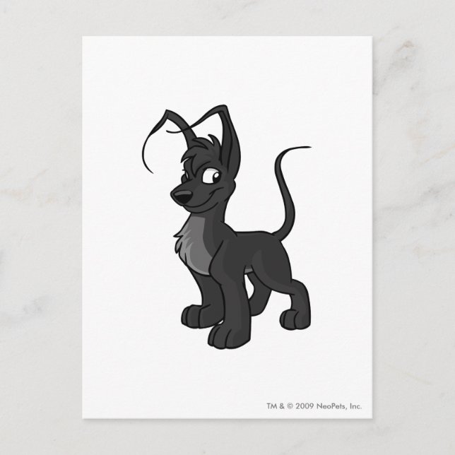 Postal Gelert Shadow (Anverso)