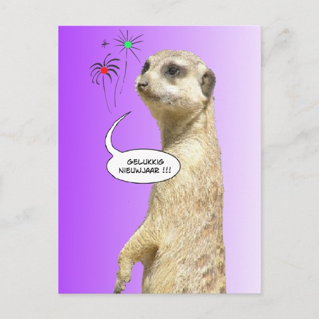 Postal Gelukkig Nieuwjaar Stokstaartje Briefkaart (Anverso)