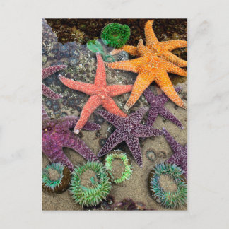 Postal Gemas del mar