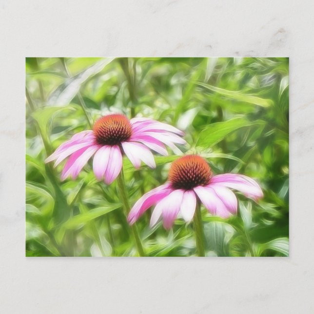 Postal Gemelos Coneflower (Anverso)