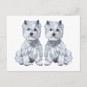 Postal ¡Gemelos West Highland White Terrier!