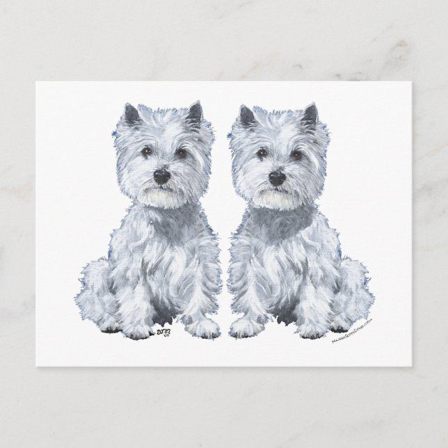 Postal ¡Gemelos West Highland White Terrier! (Anverso)