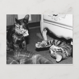 Postal Gemini y Whisper