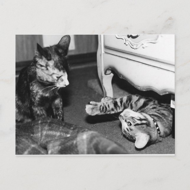 Postal Gemini y Whisper (Anverso)