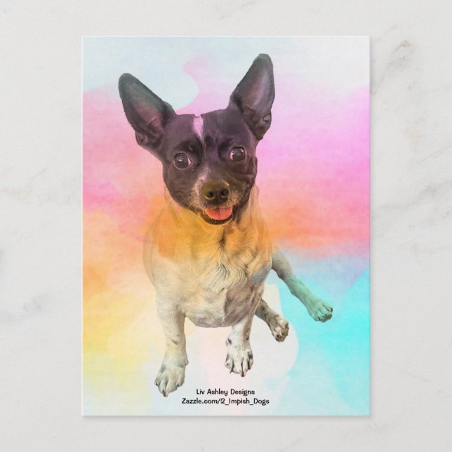 Postal Gemma Disco Postcard (Anverso)