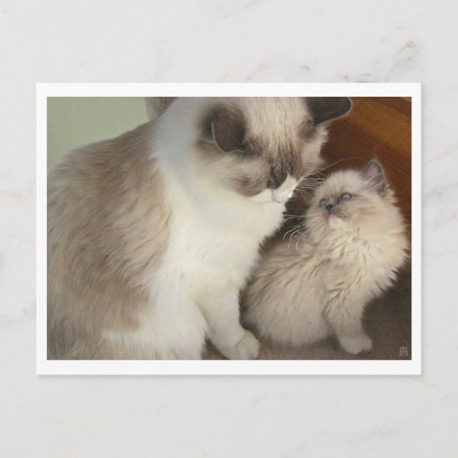 Postal Generaciones (Anverso)