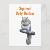 Generador de cuerpos de ardilla