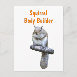 Postal Generador de cuerpos de ardilla