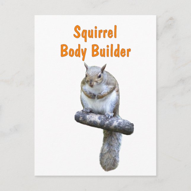 Postal Generador de cuerpos de ardilla (Anverso)