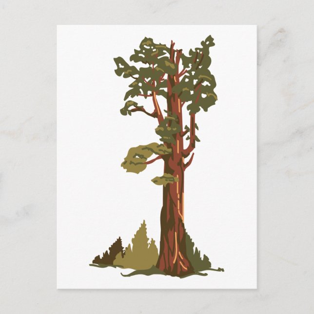 Postal General Sherman Tree (Anverso)