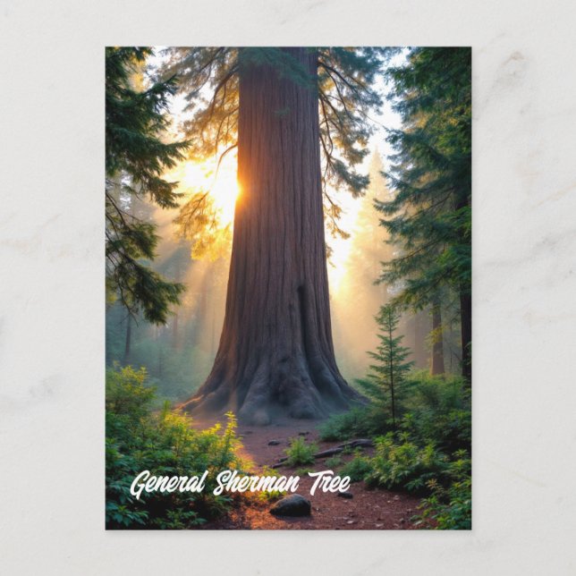 Postal General Sherman Tree - California (Anverso)