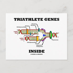 Postal Genes Triatleta Dentro (Replicación de ADN)