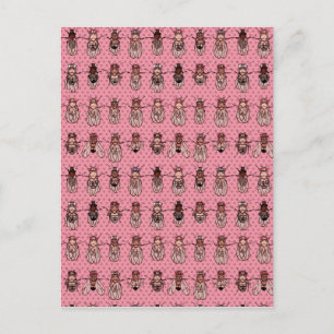 Postal Genética de la mosca del vinagre de la Drosophila