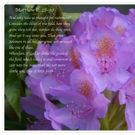 Postal ¡Genial Es Tu Fe!