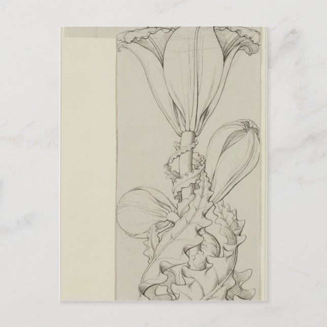 Postal Genio de la Lily, 1809 (Anverso)