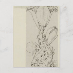 Postal Genio de la Lily, 1809