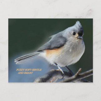 POSTAL GENTÍFICO Y INTELIGENTE