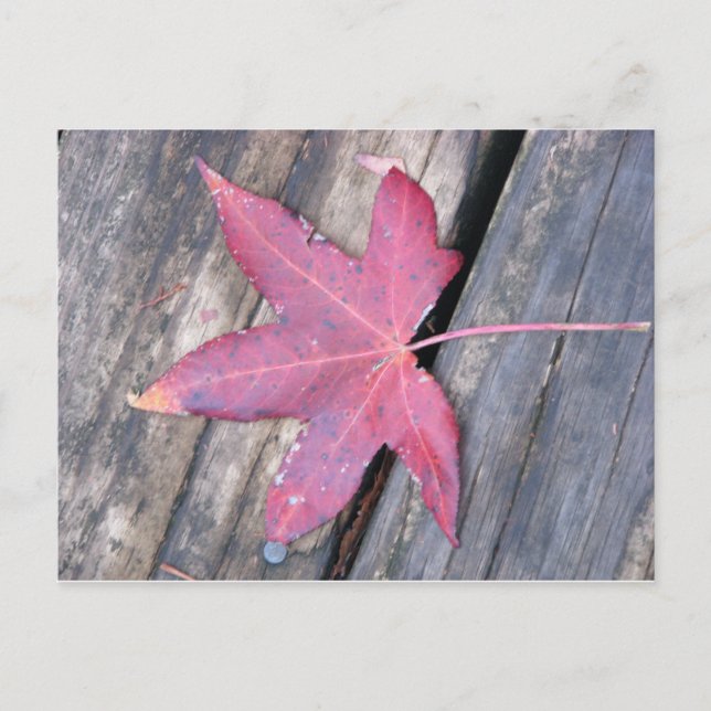 Postal gentil (Anverso)