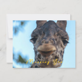 Postal Gentle Giraffe