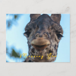 Postal Gentle Giraffe