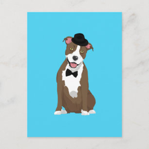 Postal Gentleman American Staffordshire Terrier