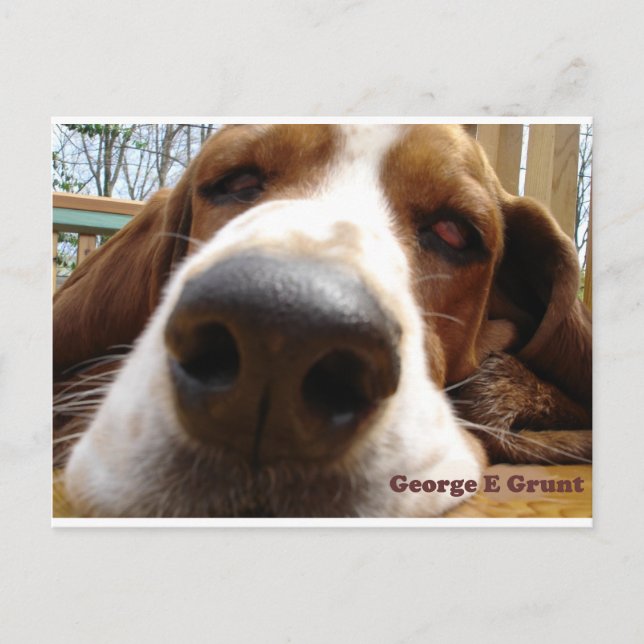 Postal George (Anverso)
