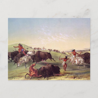 Postal George Catlin - caza del búfalo
