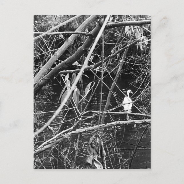 Postal george del lago (Anverso)