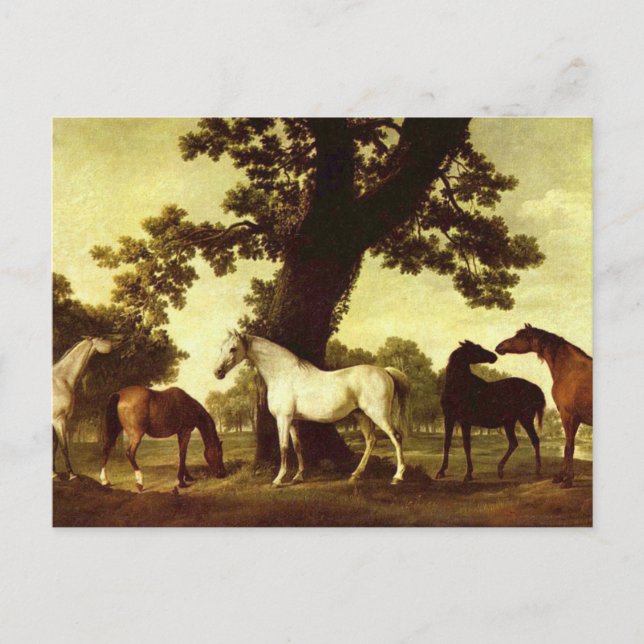 Postal George Stubbs (Anverso)