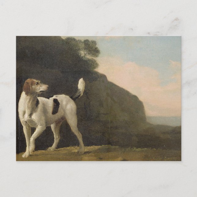 Postal George Stubbs | A Foxhound, c.1760 (aceite sobre p (Anverso)
