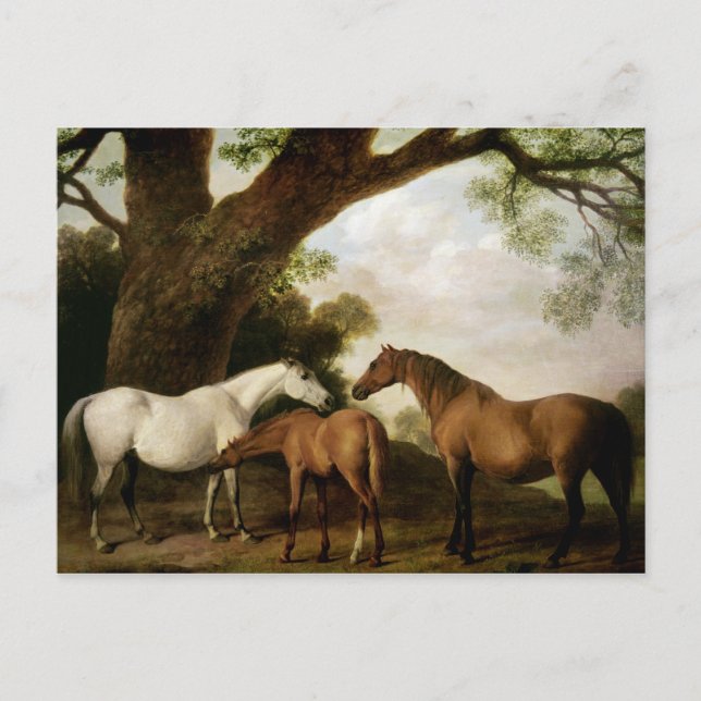 Postal George Stubbs | Dos Shafto Mares y un Foal, 1774 (Anverso)