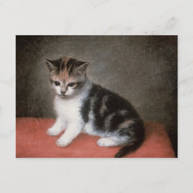 Postal George Stubbs | Gatito de la señorita Ann White, 1 (Anverso)