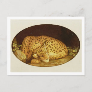 Postal George Stubbs   Leopardo durmiente, 1777 (esmalte 