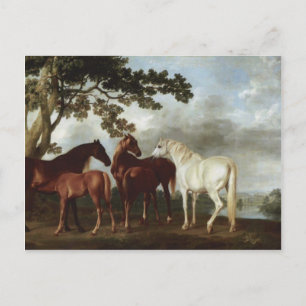 Postal George Stubbs-Mares and Foys in a River Landscape