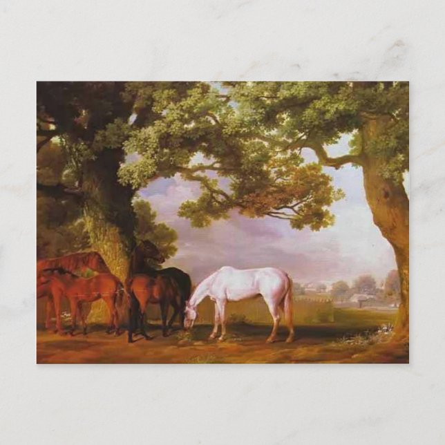 Postal George Stubbs - Mares & Fotods en un paisaje de ma (Anverso)