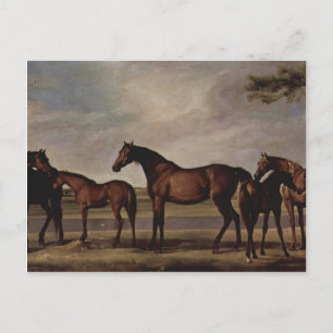 Postal George Stubbs-Mares, potros antes de una inminente