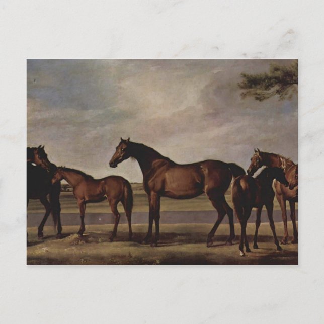 Postal George Stubbs-Mares, potros antes de una inminente (Anverso)