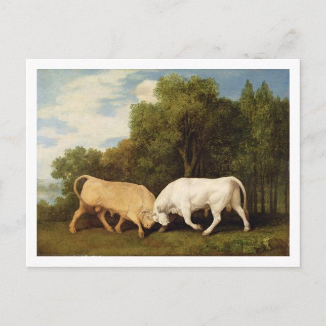 Postal George Stubbs | Peleas con toros, 1786 (petróleo e (Anverso)