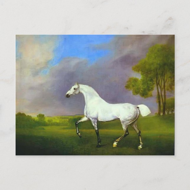 Postal George Stubbs - Un caballo gris (Anverso)