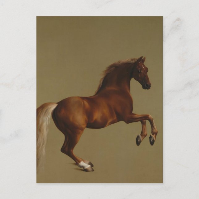 Postal George Stubbs- Whistlejacket (Anverso)